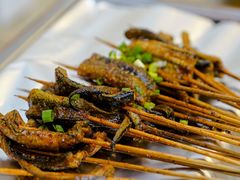 鳝鱼-晓靖轩烧烤(沙河风情店)