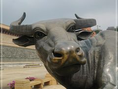 -广东圆玄道观