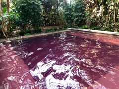 -仁爱团泊湖温泉中心