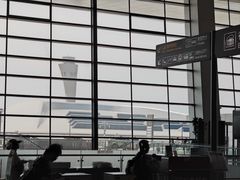 -郑州新郑国际机场-T2航站楼