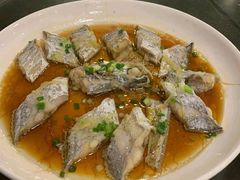 清蒸东海带鱼-古韵轩·江浙融合菜(梁溪店)
