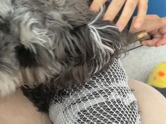 -谐和贝康宠物医院24小时·宠保定点(急重症转诊中心)