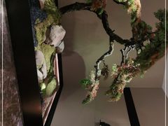 -湘上湘(米其林餐厅-正大中心总店)