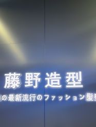 -藤野造型烫发染发