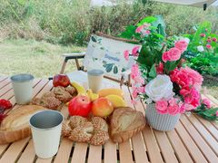 -光明小镇欢乐田园