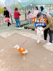 -上美四季动物农场