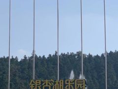 -南京银杏湖乐园