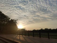 -白鹭湾湿地公园