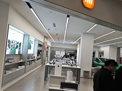 -小米之家汽车(永旺梦乐城店)