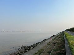 -海鸥岛