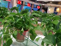 大堂-嘉和一品粥(政府街店)