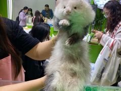 -东浩兰生上海世博展览馆