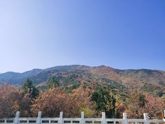 -北京西山国家森林公园