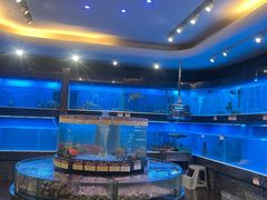 -金悦轩海鲜城(渔人码头店)