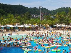 -重庆海昌加勒比海水世界