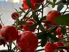 -威尼斯餐厅(四道街店)