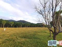 -光明港公园