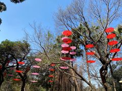 -广州市白云山风景名胜区