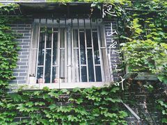 -重庆彩云湖湿地公园