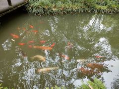 -成都杜甫草堂博物馆