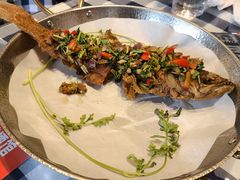 -雪熊哈尔滨烧烤·精酿啤酒·砂锅(中央胜境店)