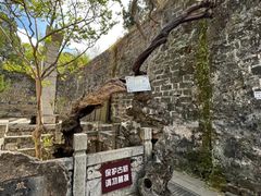 -昆明市金殿名胜区