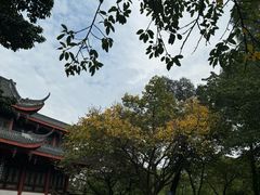 -塔子山公园