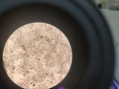 -艾贝尔宠物诊疗