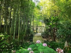 -求雨山文化公园