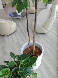 -HEYAN荷妍专业脱毛连锁机构