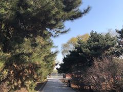 -北陵公园