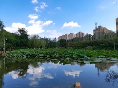 -前关湿地公园