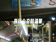 -青岛胶东国际机场