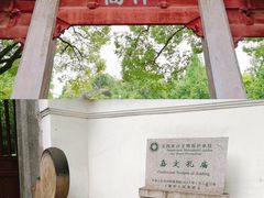-嘉定紫藤园