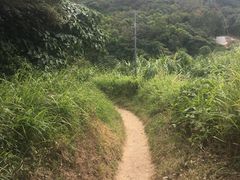 -南丫岛