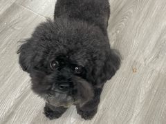 -comecome来吧宠物(奥克斯中心店)