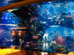 -迪拜帆船酒店海底餐厅