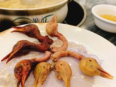 -鸽鸟轩(石岐店)