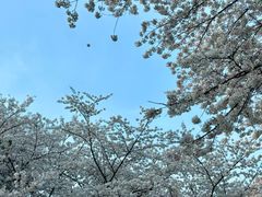 -杭州少年儿童公园