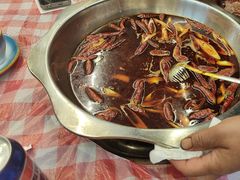 -金鼎雪山牦牛杂火锅(理县总店)