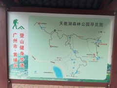 -天鹿湖森林公园