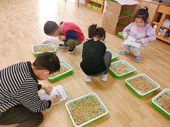 -金色摇篮潜能开发幼儿园(大兴校区)