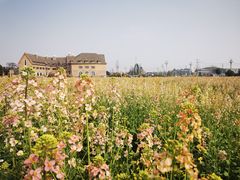 -中国天府农业博览园