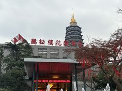 -听松楼·花园酒店·自助餐厅(红梅公园店)