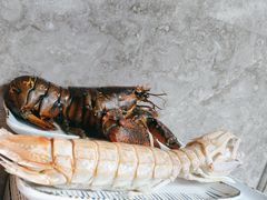 -夏威夷 ·全球海鲜姿造(高新店)