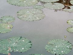 -南翠屏公园