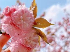 -贵阳市花溪国家城市湿地公园