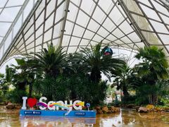 -三亚海昌梦幻海洋不夜城