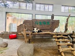 -宁波野生动物园