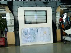 -翼蓝数码(虹桥机场T2店)